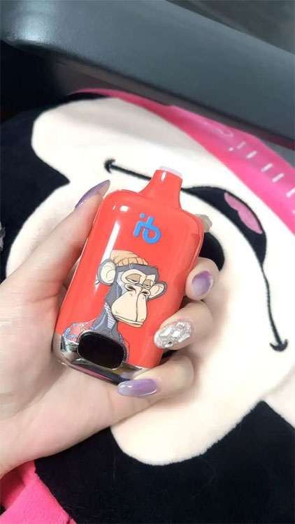 Understanding Restrictions on Electronic Cigarette Use During Flights Understanding Restrictions on Electronic Cigarette Use During Flights